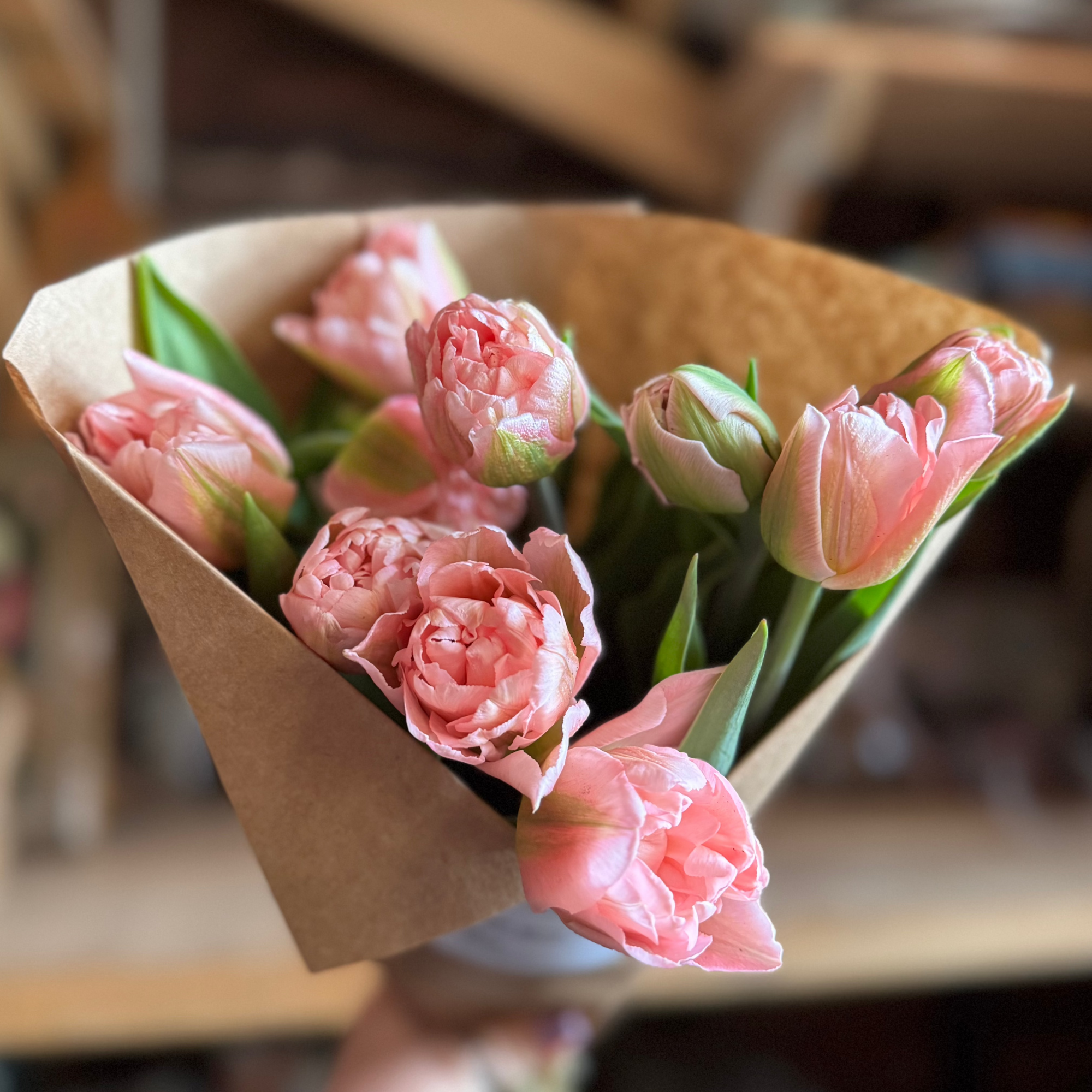 Fancy + Peony Tulips by the Bunch