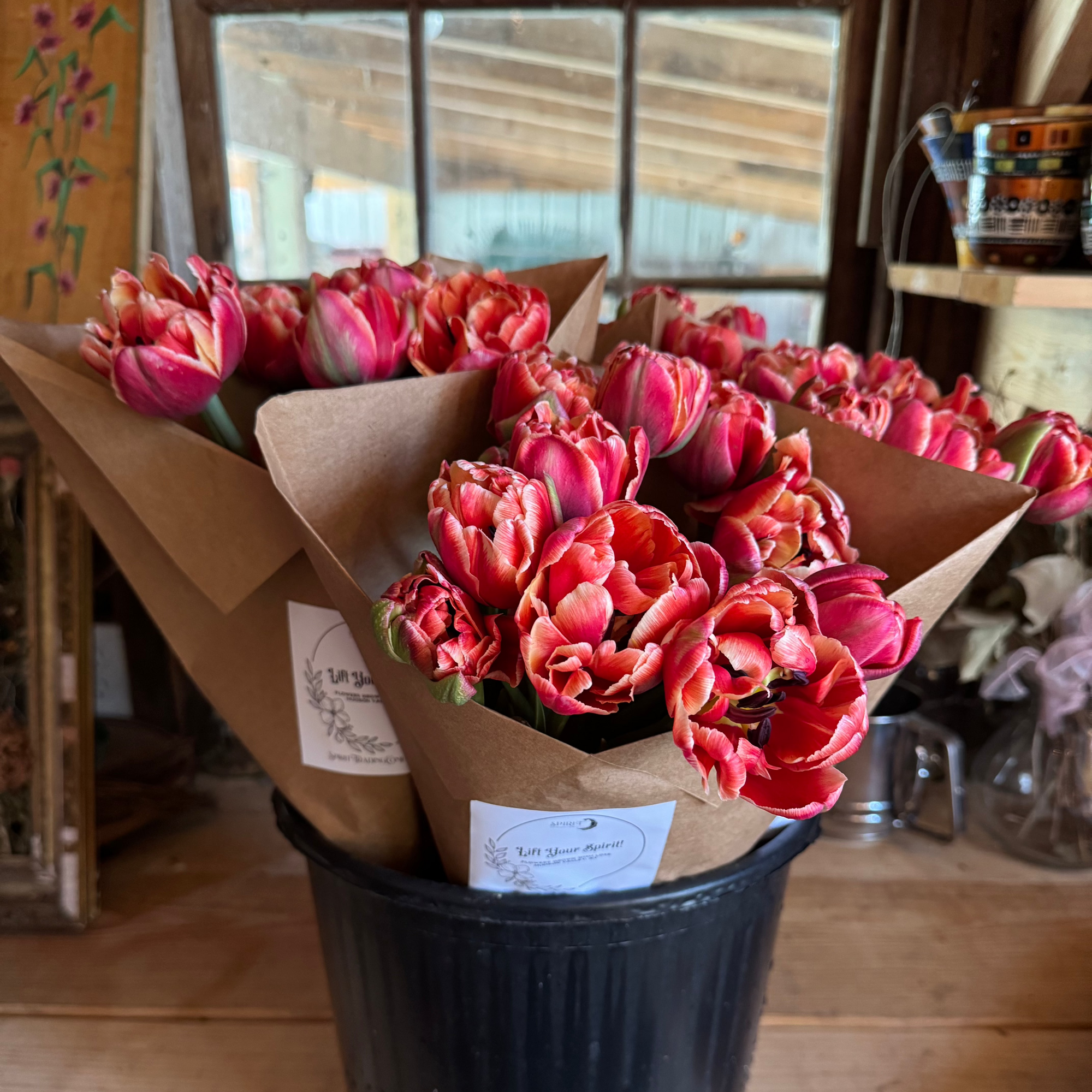 Fancy + Peony Tulips by the Bunch