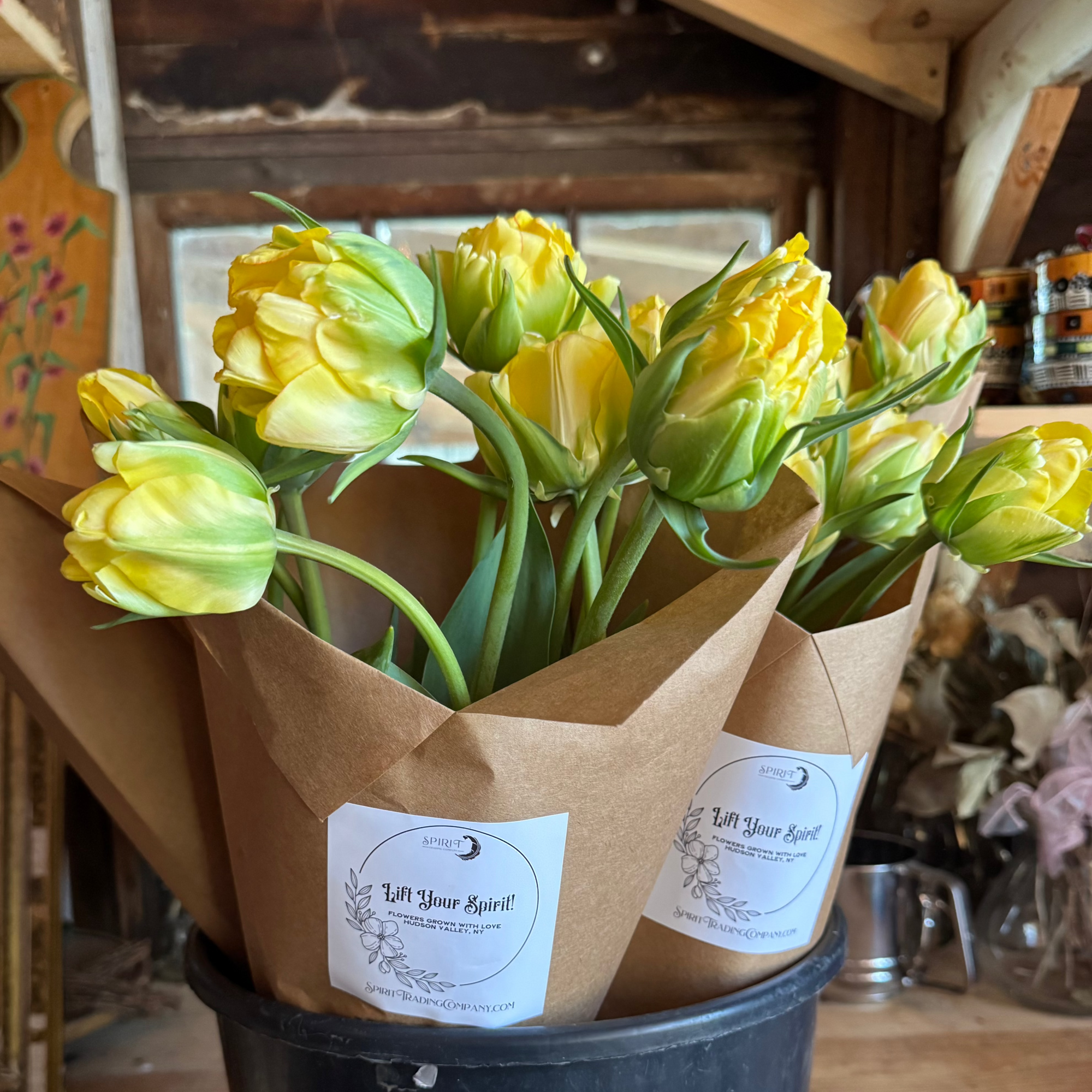 Fancy + Peony Tulips by the Bunch