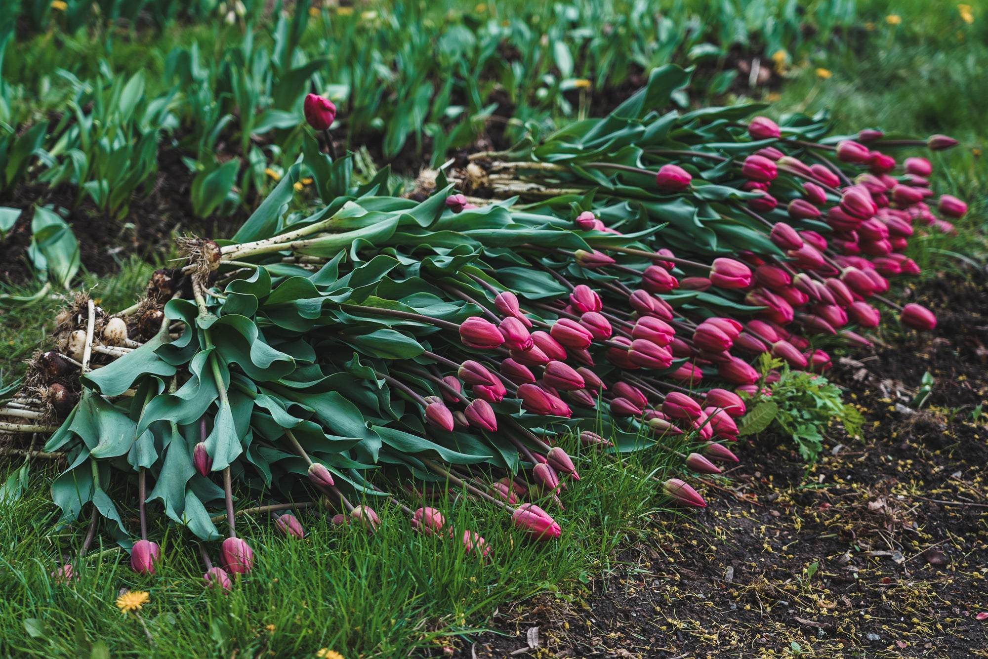 Jessica&#39;s Flower Party - Tribeca Private Flower Workshop