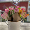 Fancy &amp; Peony Tulips Subscription - Spring 2024