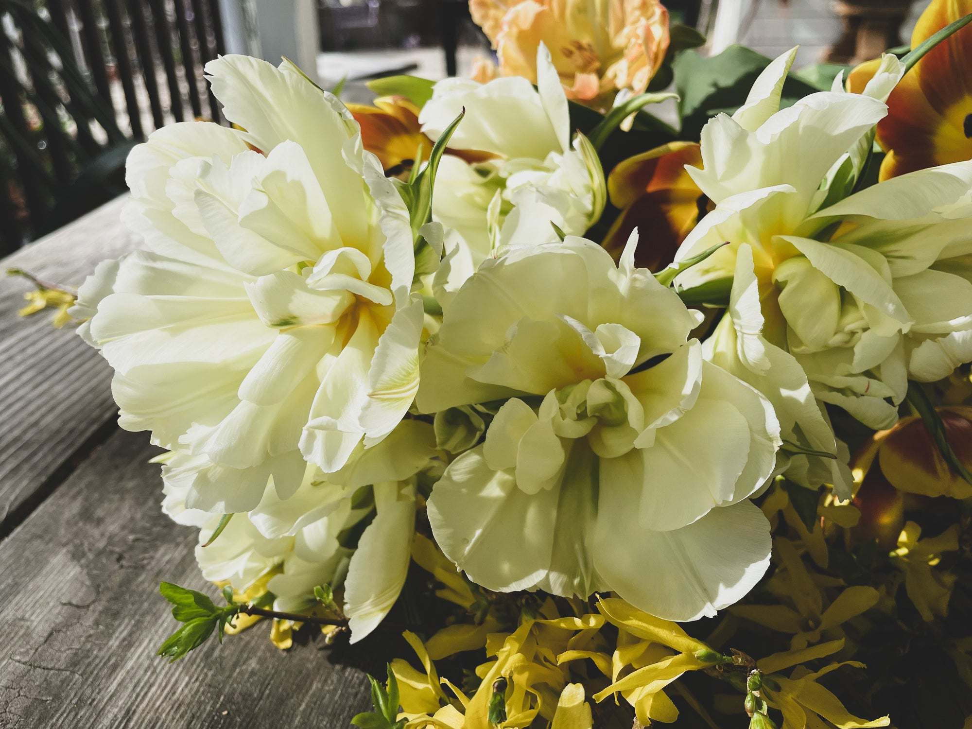 Fancy &amp; Peony Tulips Subscription - Spring 2025