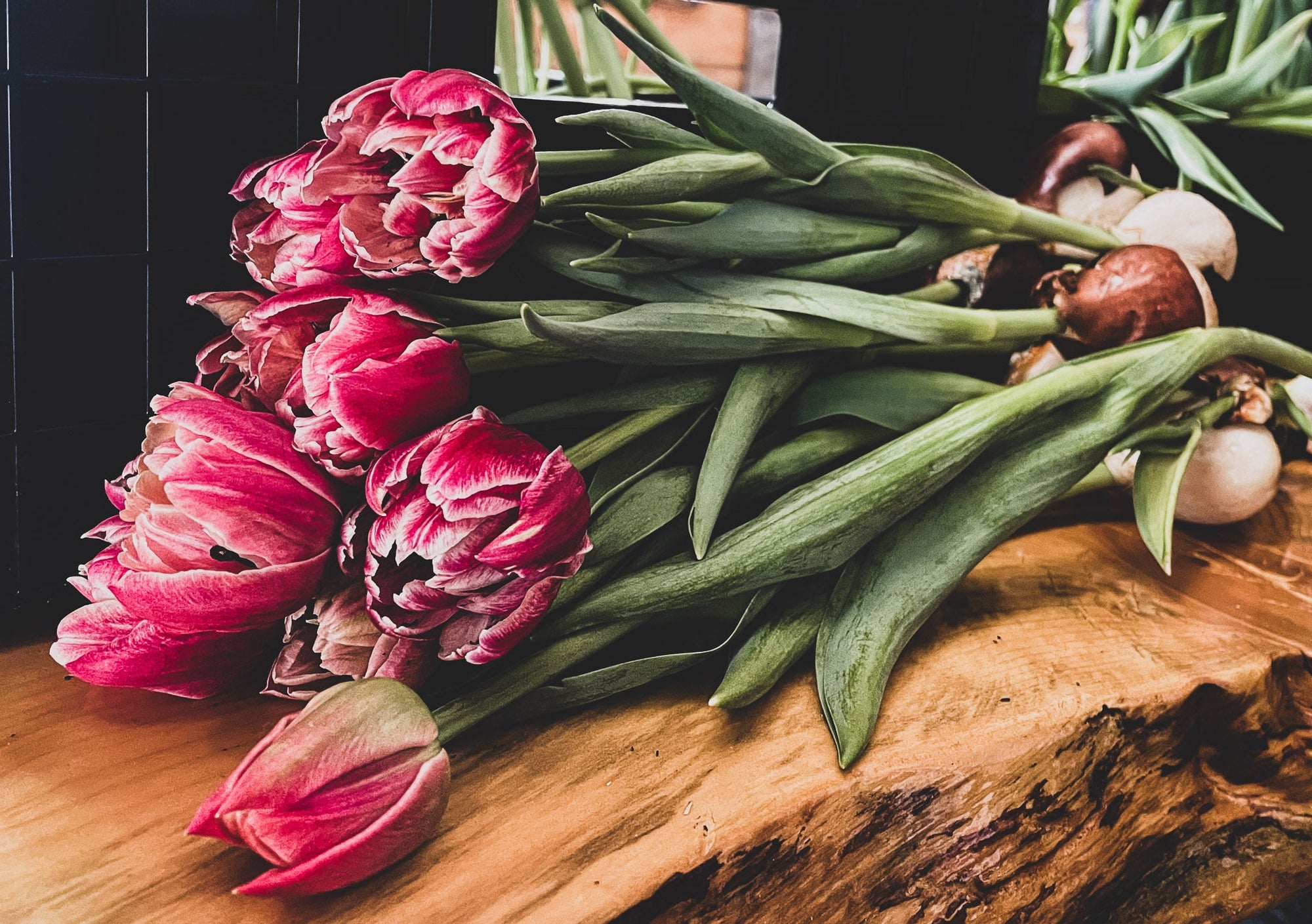 Fancy &amp; Peony Tulips Subscription - Spring 2025