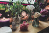 Mother&#39;s Day • Wild Spirit Bouquets