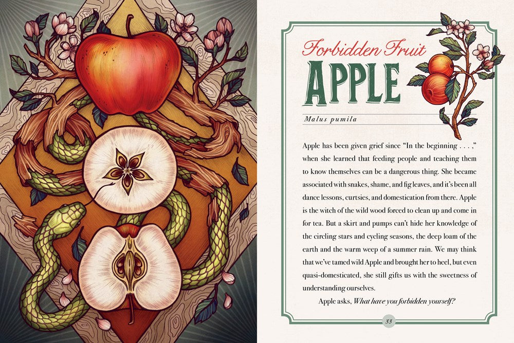 The Illustrated Herbiary - Collectible Box Set