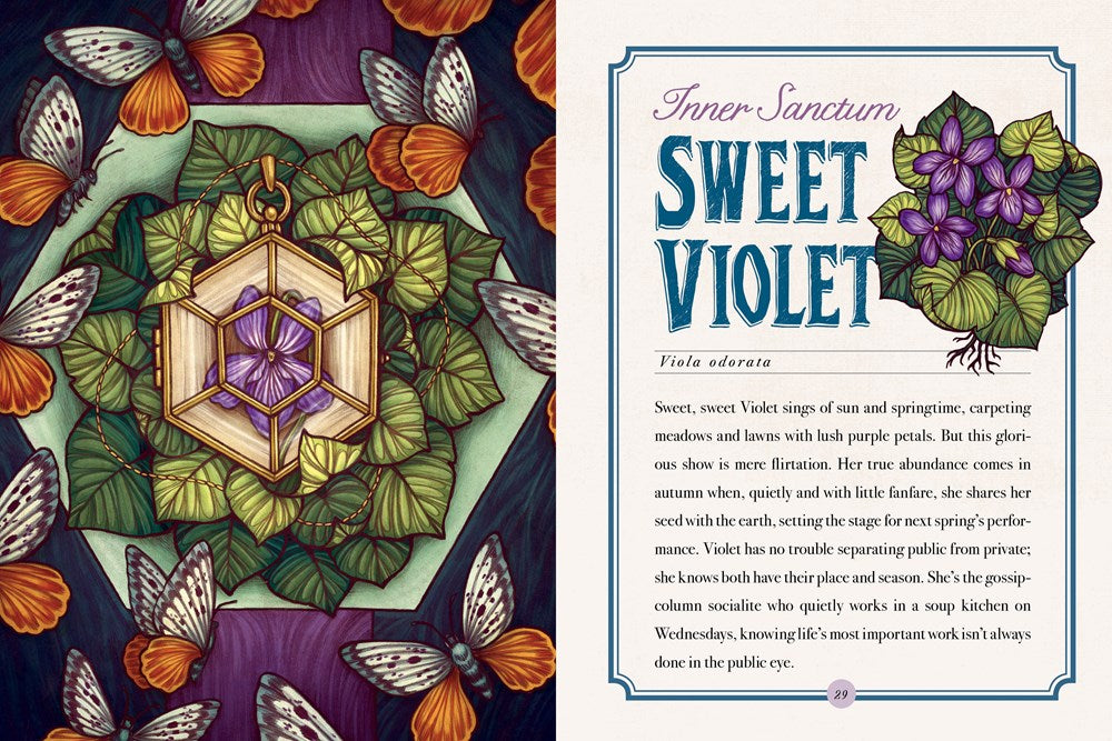 The Illustrated Herbiary - Collectible Box Set