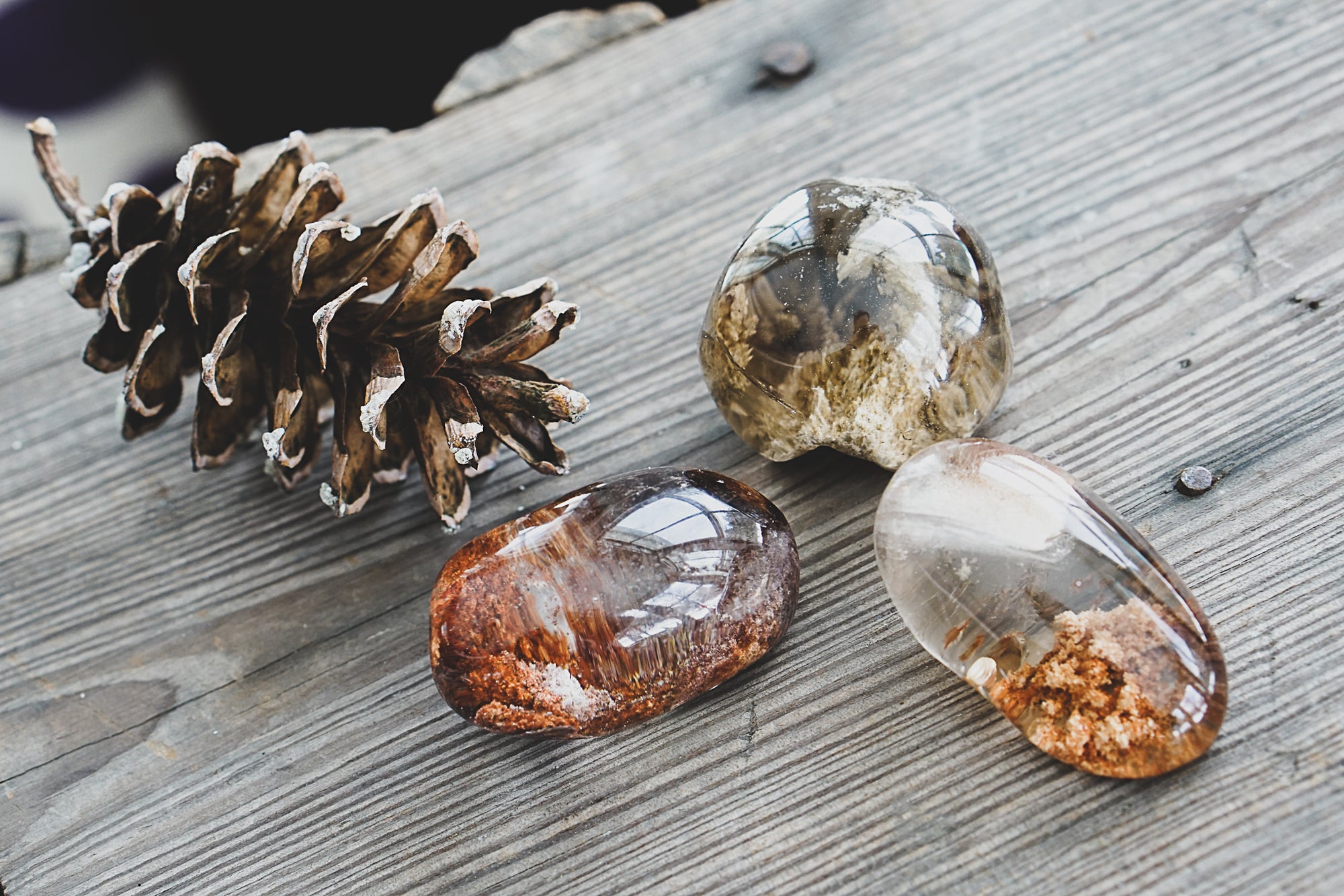 Garden Quartz • Lodolite with Chlorite