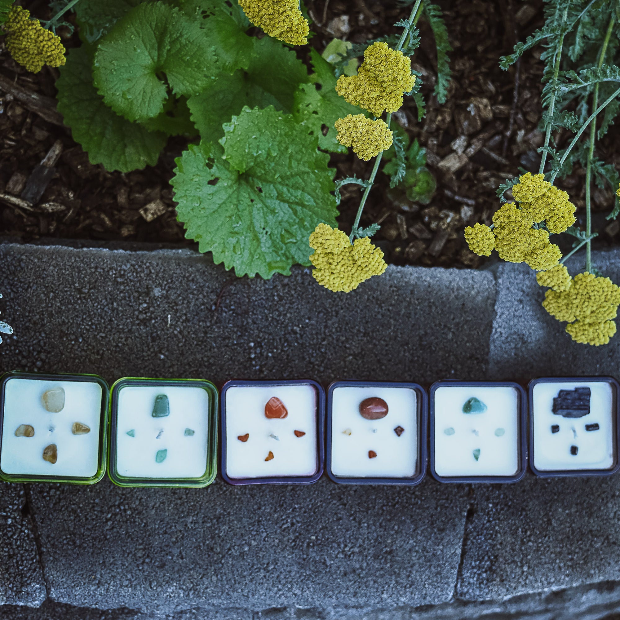 Ignite Spirit Candle Club - Monthly &quot;Classic&quot; Subscription