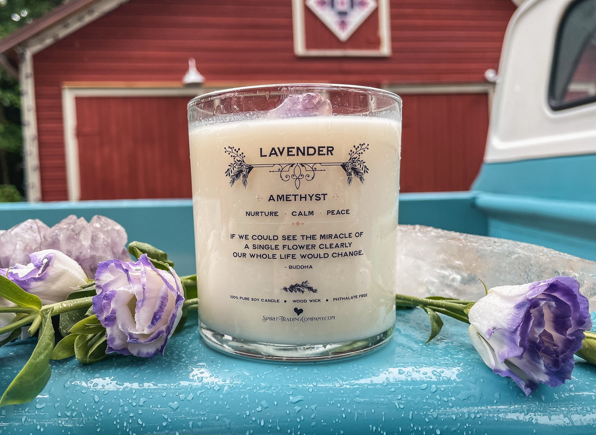 Wild Spirit • Lavender