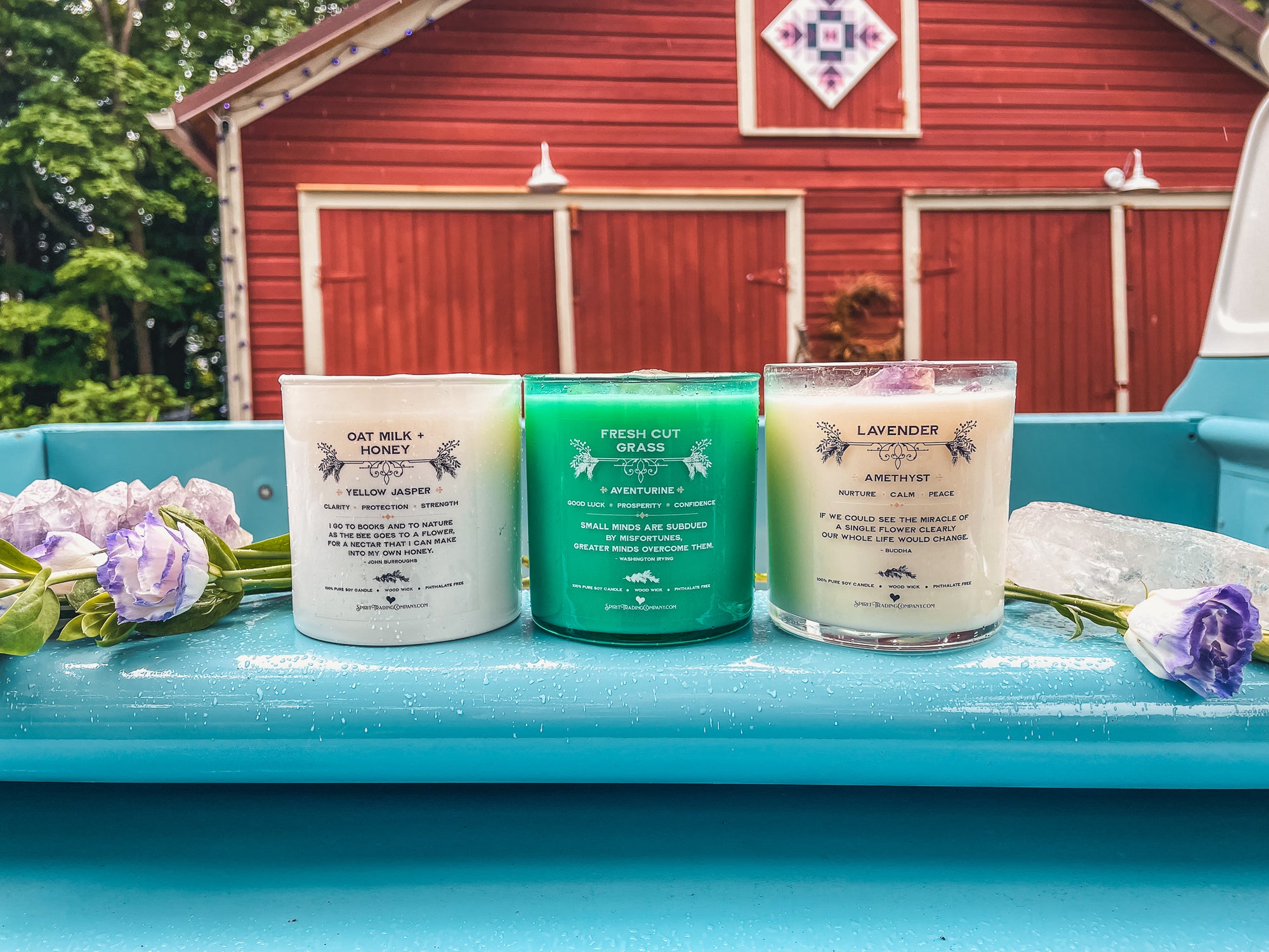 Wild Spirit Spring Collection