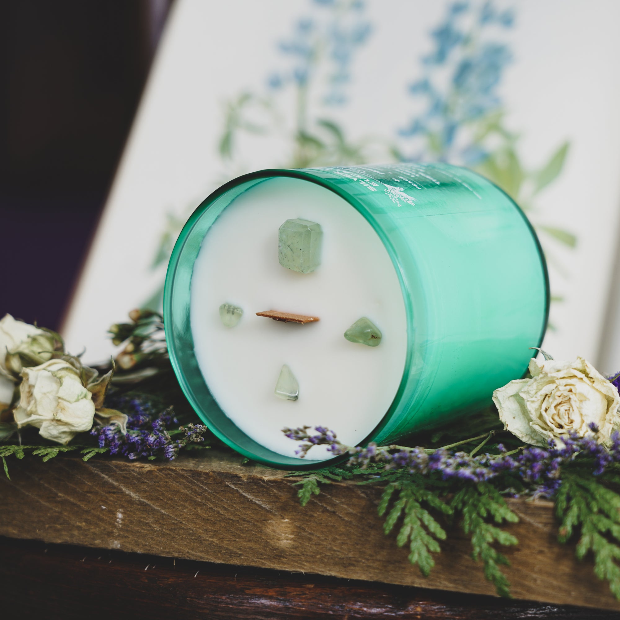 Wild Spirit Collection Silver Dollar Eucalyptus