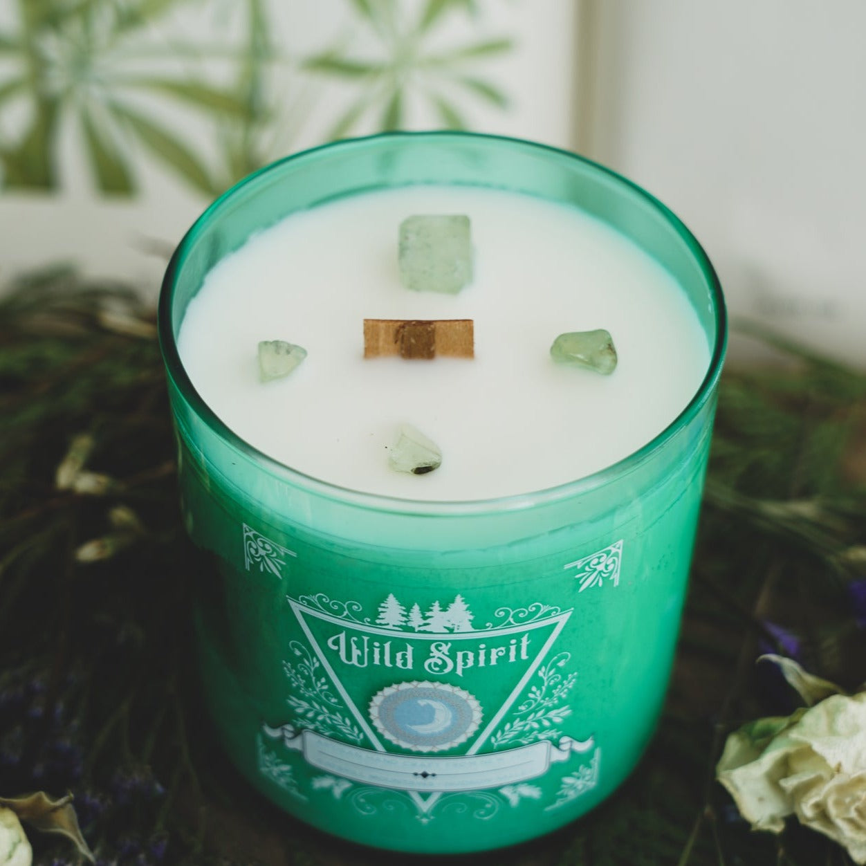 Wild Spirit Collection Silver Dollar Eucalyptus