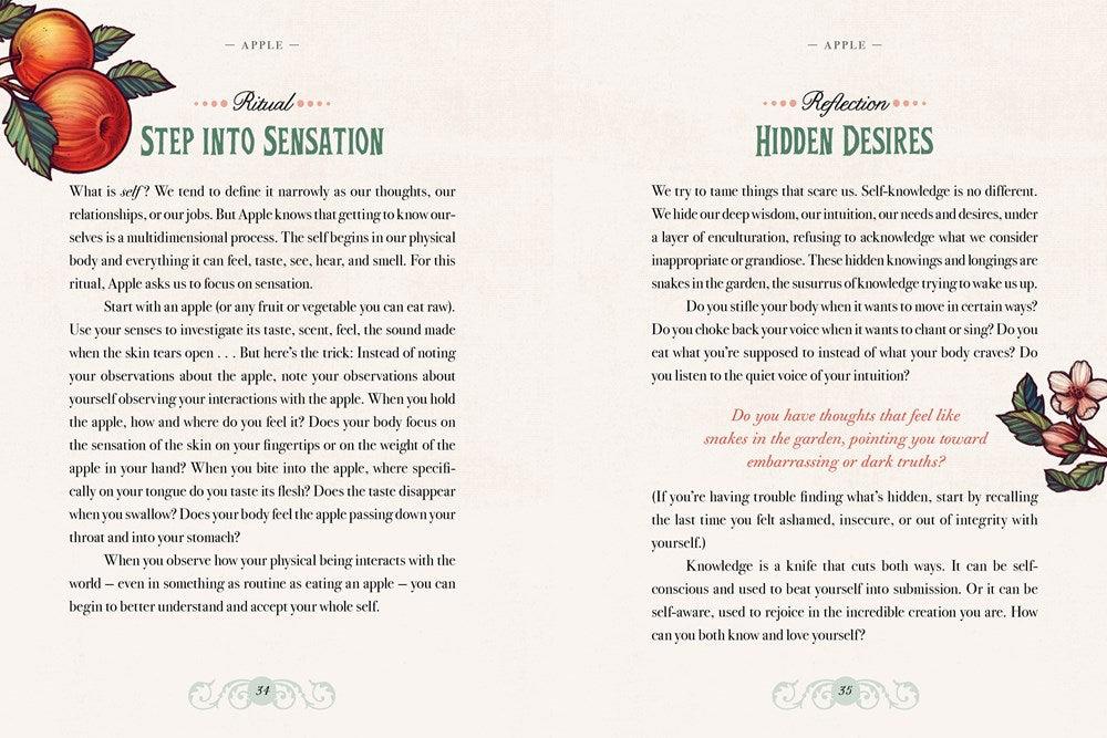 The Illustrated Herbiary - Collectible Box Set