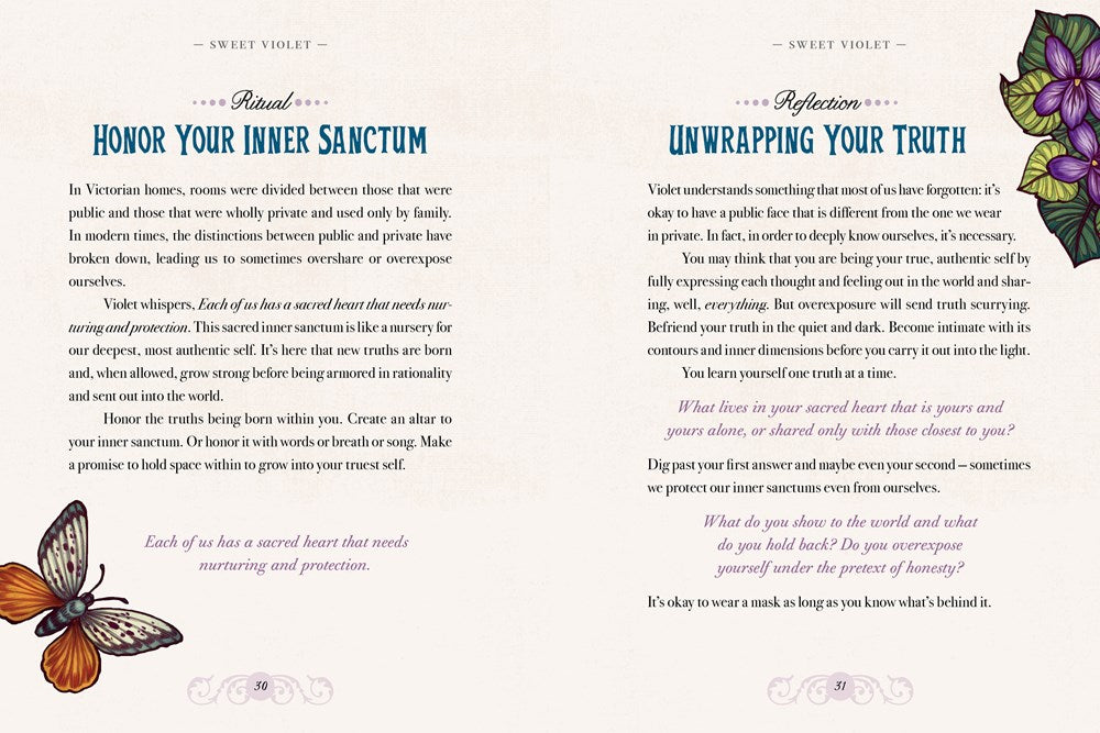 The Illustrated Herbiary - Collectible Box Set