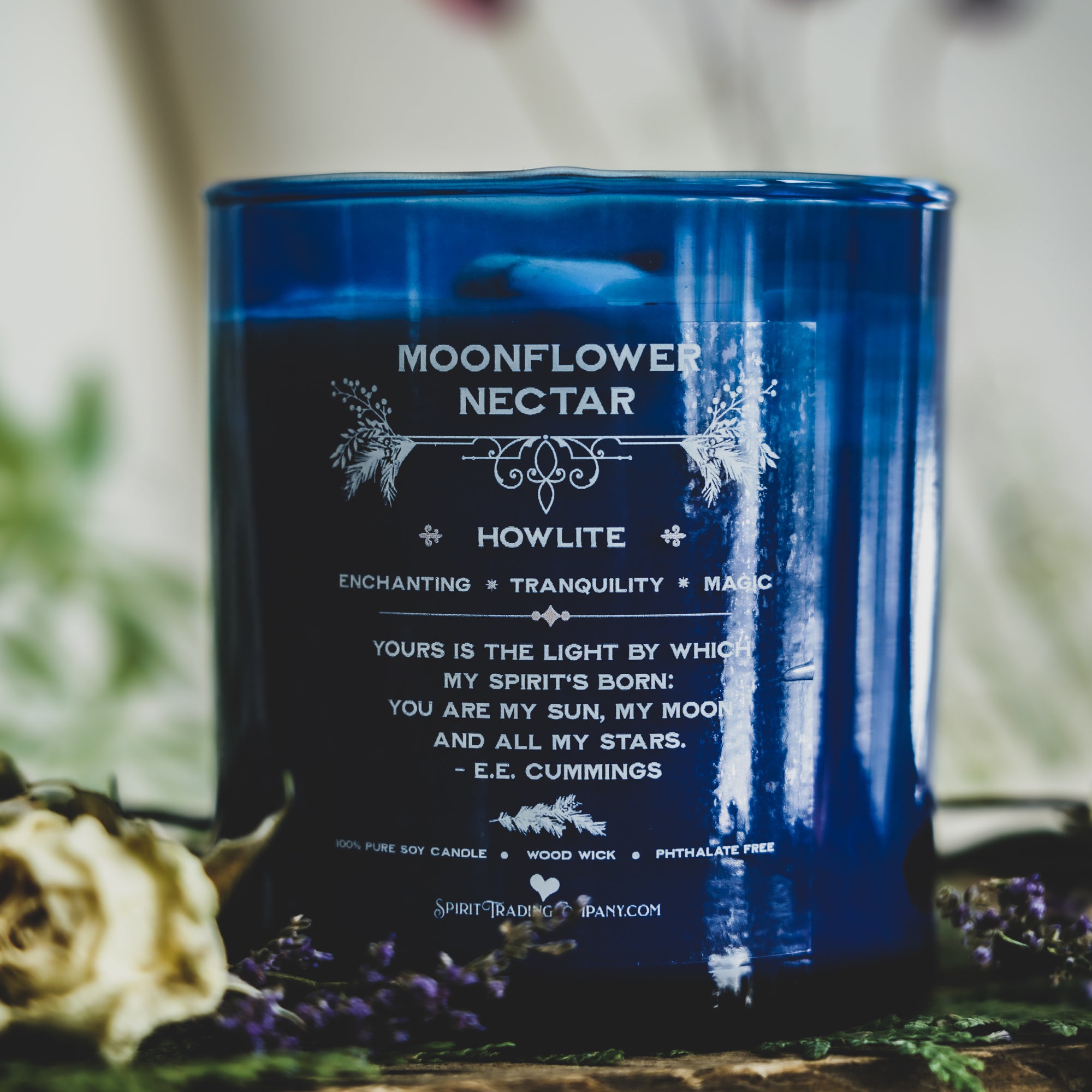 Germinate Spirit Kit