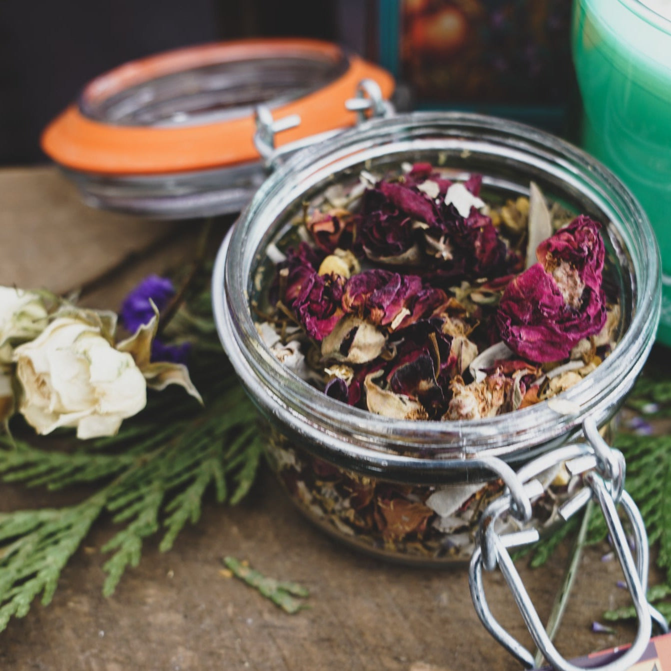 Germinate Spirit Kit