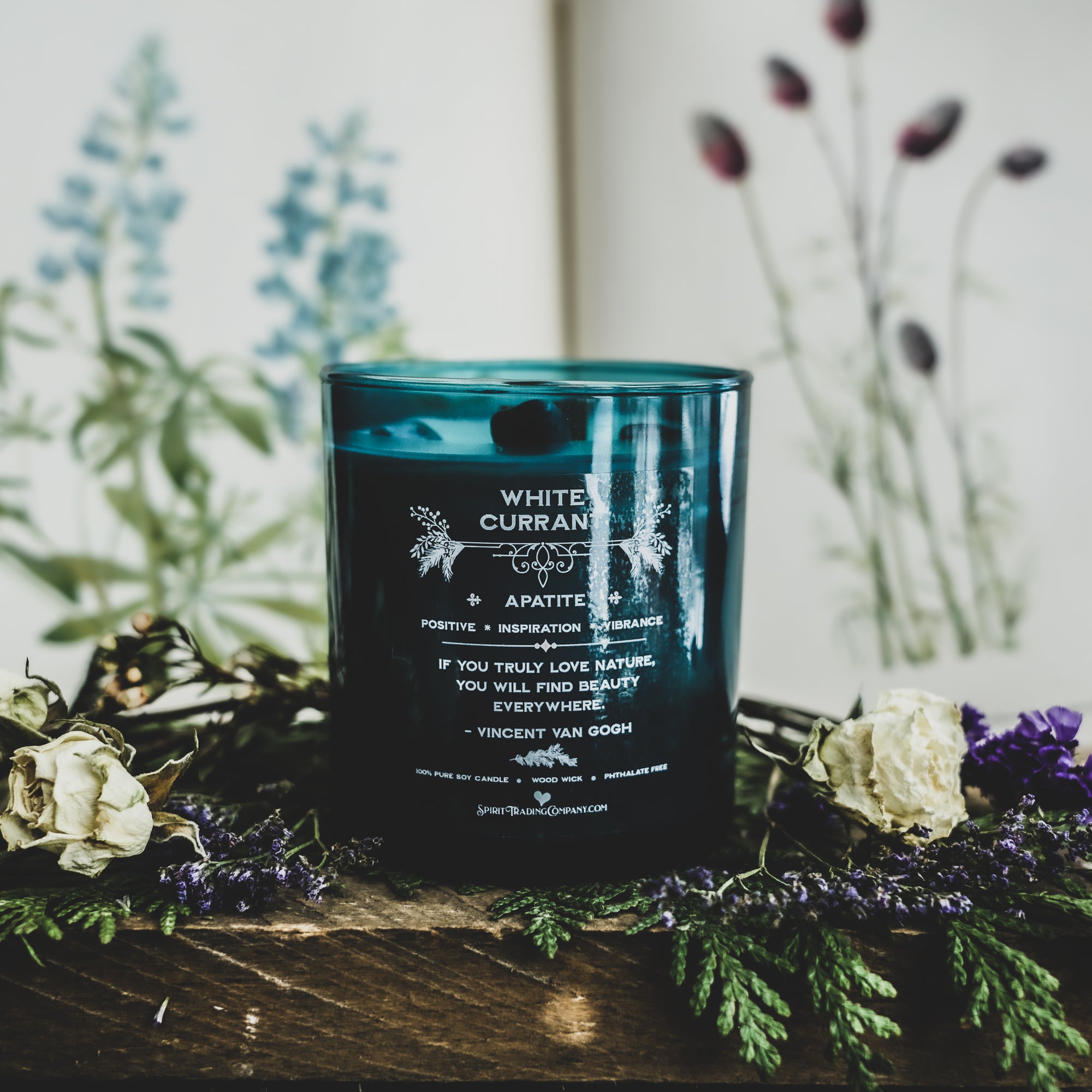 Wild Spirit Collection White Currant