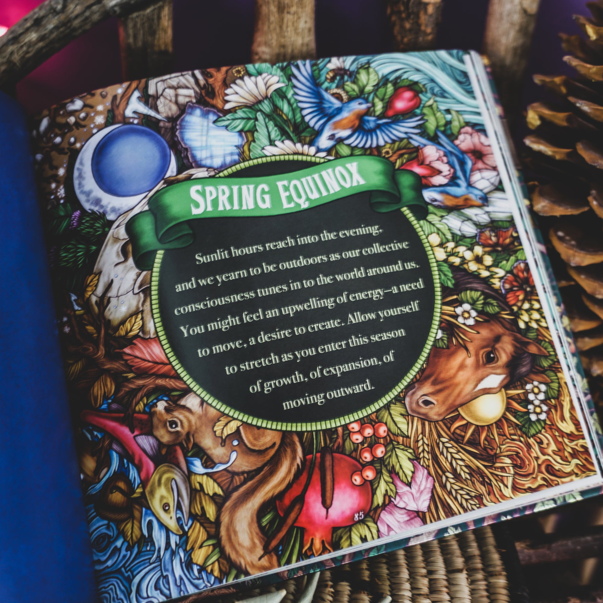 Germinate Spirit Kit